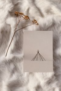 Hovedbilde Koarta l&aacute;vvomuorat